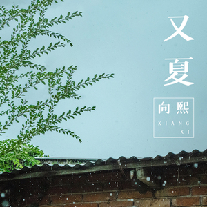 印度人妻开发视频网
